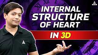 Human Heart Structure And Function  Detailed 3D Human Heart Diagram  NEET Hindi Medium [upl. by Aihsirt]