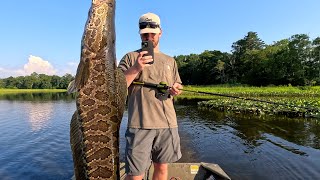 Snakehead Fishing in Virginia [upl. by Nivlam243]