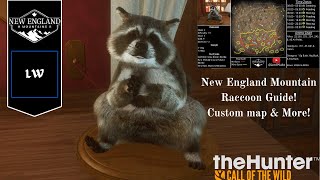 New England Mountains Raccoon Guide  Thehunter Call of the Wild [upl. by Eintirb]