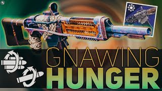 Destiny 2  Gnawing Hunger Review Auto Rifle Review [upl. by Ergener]