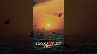 Pyara islam subscribe islamicstatus nature 4million beautiful quran quotes [upl. by Aihsekal]