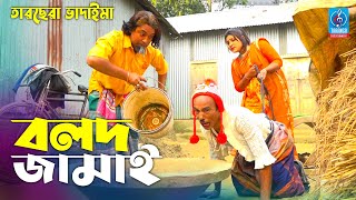 বলদ জামাই  তারছেরা ভাদাইমা  Bolod Jamai  Tarchera Vadaima  Bangla New Comedy New Video 2022 [upl. by Latoya44]