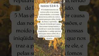 Nossas dores levou sobre si📖 Isaías 5345 palavradedeus fé evangelho biblia shorts [upl. by Roy898]