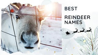 25 Best Reindeer Names 🎅 Santas Female Male Winter Christmas [upl. by Gav]