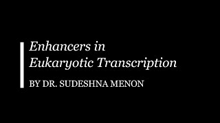 Enhancers in Eukaryotic Transcription [upl. by Lindi]