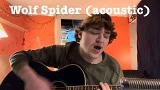 Wolf Spider acoustic  Benzonn [upl. by Cilo]