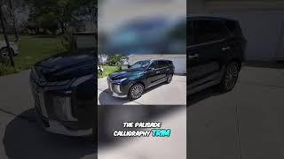 Luxury and Style of the Hyundai Palisade [upl. by Vanhomrigh511]