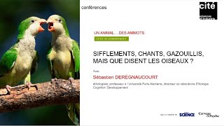 DIRECT 08022020 Sifflements chants et gazouillis mais que disent les oiseaux [upl. by Nancy]