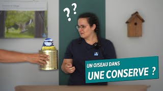 Comment transporter un animal en détresse avec les moyens du bord   ALBG 7 [upl. by Vipul]