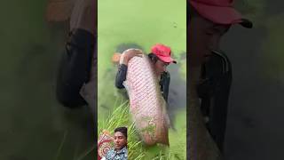 fish fisherman fishing fishermanlife fishermanslife carpfishing fishermans fishingtips [upl. by Ahsekahs750]