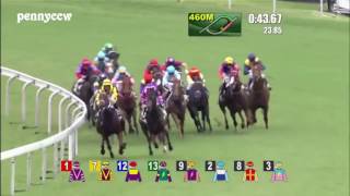 Craziest horse racing DEBUT ever  6 Pakistan Stars from Last to First Hong Kong 2016 [upl. by Hazeghi]