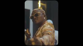 Portable ft Small Doctor  Neighbour Video [upl. by Zenas]