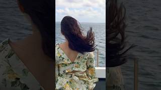 travelvlog australia cruise sea views [upl. by Adelaide]