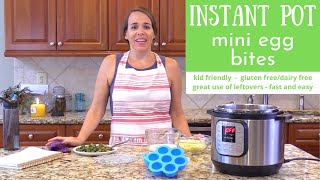 Instant Pot Mini Egg Bites perfect for kids or picky eaters [upl. by Yttig]