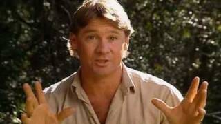 The Crocodile HunterSteves Greatest Crocodile Captures 48 [upl. by Yellah]