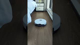 clean cleanroom foryour home robotvacuum robotcleaner room cat [upl. by Bunting]