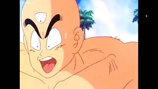 Yamcha VS Tien Part 1 Dragon Ball [upl. by Gardie716]