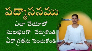 Padmasana for Beginners in Telugu  Sitting Postures in Yoga  Episode 1  Lotus Pose [upl. by Krista312]