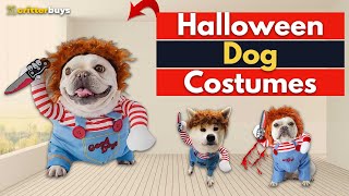 Dog Halloween Costume  Deadly Dog Costume  Funny Pet Cosplay Costume  Cute Dog Party Costume [upl. by Alesandrini]