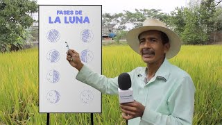 Cómo usar las Fases Lunares 🌖 Para Sembrar Cosechar Injertar y Domar Caballos [upl. by Nimrahc]