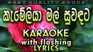 Kameliya Mal Suwadata Karaoke with Lyrics Without Voice [upl. by Jaehne]