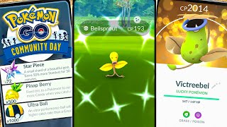 Prep Now Bellsprout Comm Day 3x Stardust amp Victreebel’s Magical Leaf [upl. by Dlabihcra]