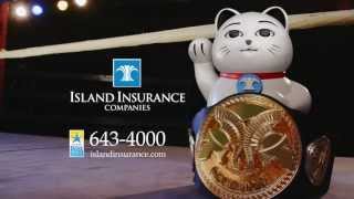 Island Insurance  quotBig Hitterquot [upl. by Ardnassela933]