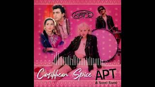 Caribbean Spice Mashup APT amp Sooni Sooni [upl. by Aynik]