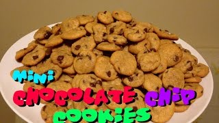 Mini Soft Chocolate Chip Cookies [upl. by Florrie]