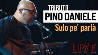 SULO PE PARLÀ  Live  Tributo a Pino Daniele [upl. by Panta]