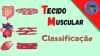 Tecido Muscular  Classificação [upl. by Philbin]