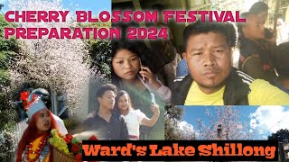 Shillong Cherry Blossom Festival Preparation 2024  Wards Lake Shillong [upl. by Elynad]