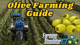 FS22 Olive Farming Guide  Planting Harvesting and Equipment Essentials  Elm Creek Tutorial [upl. by Rothstein401]