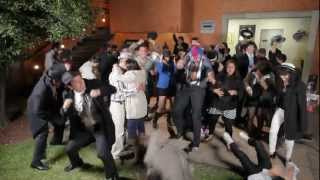 The Harlem Shake GangsterStyle del Escorpión Dorado [upl. by Jude861]