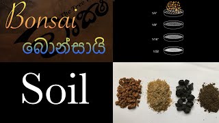 Bonsai Soil බොන්සායි පස් මාධ්‍ය Wruksha වෘක්ෂ [upl. by Codd]