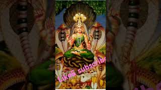 Sarpa sukthamnagulapanchami nagulachavithiviralshort trendingshorts bhakti [upl. by Bodwell]