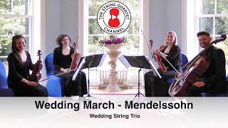 Wedding March composed by Felix Mendelssohn  Wedding String Trio [upl. by Etiuqal]