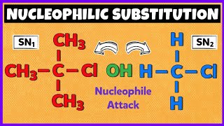 Nucleophilic Substitution Reactions  SN1 Reaction and SN2 Reaction [upl. by Pacien192]