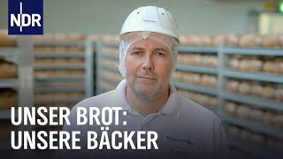 Handwerksbäcker Familienbetrieb und Brotfabrik Sie backen dein Brot  Unser Brot  NDR Doku [upl. by Stauffer]