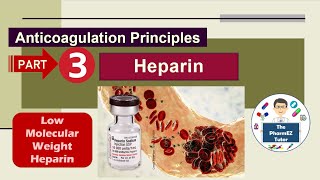 Heparin Anticoagulation Principles  Part 3 Low Molecular Weight Heparin [upl. by Gerrald]