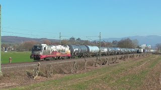 Rheintalbahn  Bahnverkehr bei Teningen  März 2024 [upl. by Una]