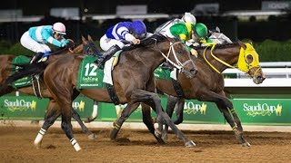 サウジカップ（ＧⅠ） セニョールバスカドール 牡６ 572 Jアルバラード 2024224 出走馬：ウシュバテソーロ、サウジクラウン、 ナショナルトレジャー、デルマソトガケ、ホワイトアバリオ他 [upl. by Reprah]