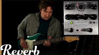 Source Audio Ventris Dual Reverb  Reverb Tone Report Demo [upl. by Clarke]