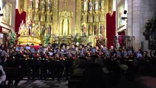 XX Concierto de Semana Santa 2013 Cofradía del Ecce Homo [upl. by Elorak]