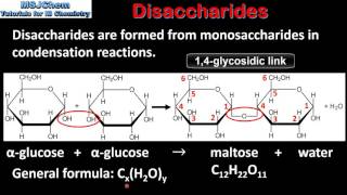 B4 Disaccharides SL [upl. by Orvah476]