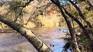 Fall by Meramec river [upl. by Frolick]