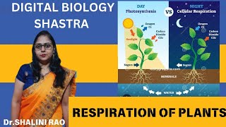 Respiration In Plants II Std11Th amp 12Th II Biology II Dr Shalini Rao II Digital Biology Shastra [upl. by Nylodam]