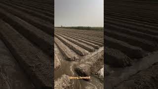 Best irrigation method farming farmer IndianFarmer [upl. by Llehsor575]