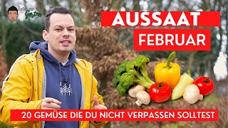 Aussaat Februar  20 Gemüse die du nicht verpassen solltest [upl. by Marentic]