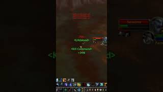 Hunter duels  Warmane Blackrock 335a  Parrot 2 worldofwarcraft lichking Warcraft [upl. by Adao645]